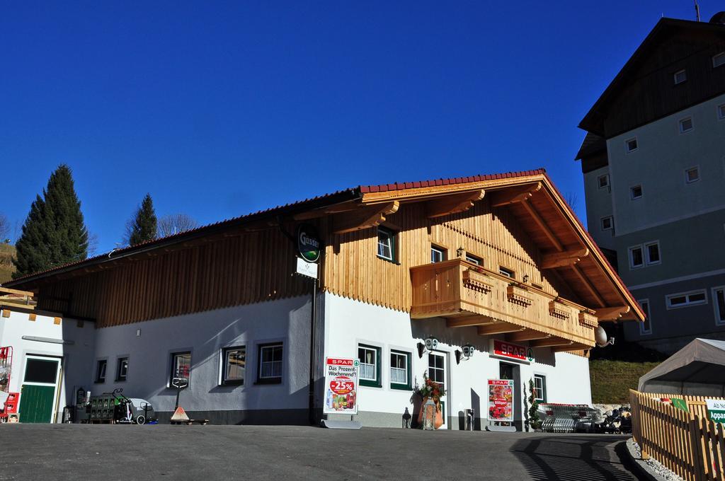 Popp'N Angerl Apartment Tauplitz Bagian luar foto